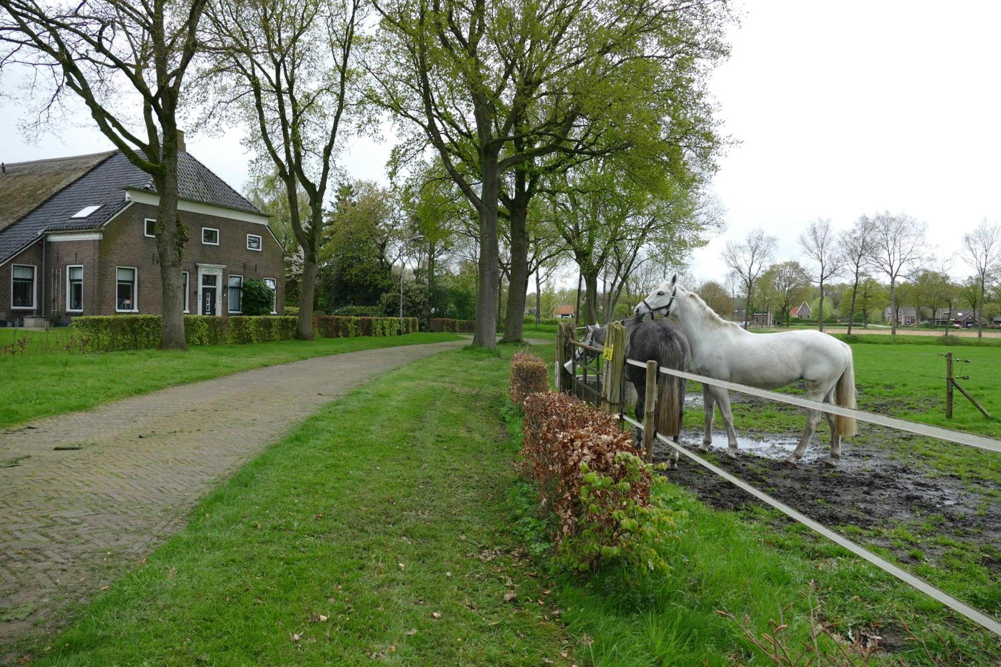 Vakantiewoning 't Stookhok Gasselte